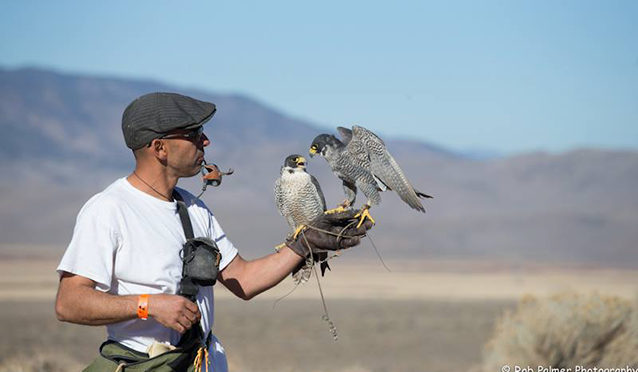 Raising the bar at California Hawking Club Lure Flying Competition ...